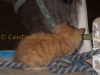2011-06-12_004-claire